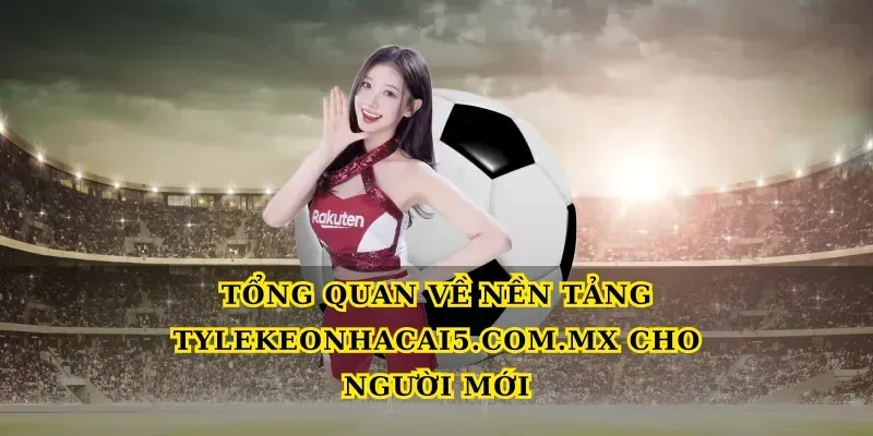 Tổng quan về nền tảng seniorhosting.io cho người mới